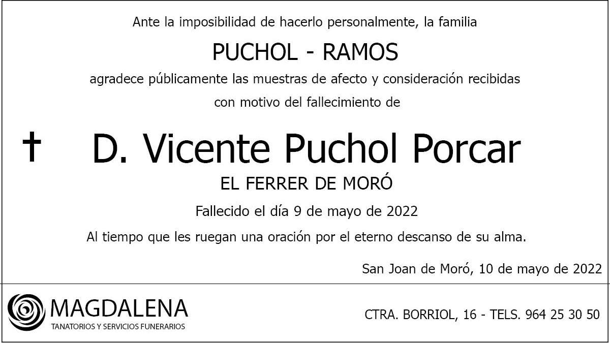 D. Vicente Puchol Porcar