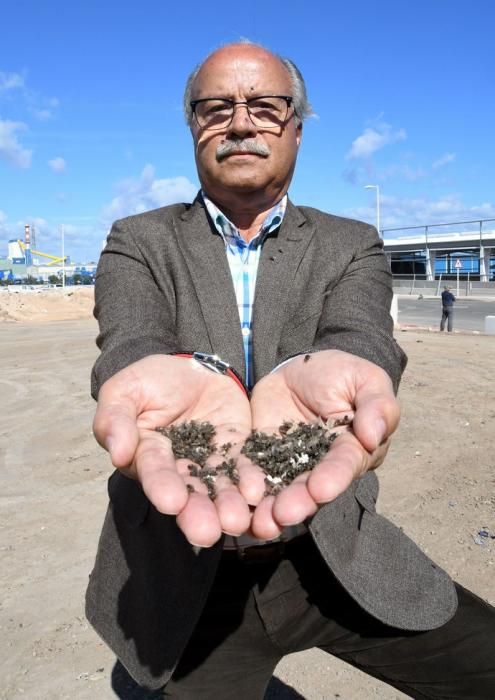 16/01/2019 EL GORO. TELDE. Plaga de moscas en los plasticos en el Polígono Industrial de El Goro. Fotografa: YAIZA SOCORRO.