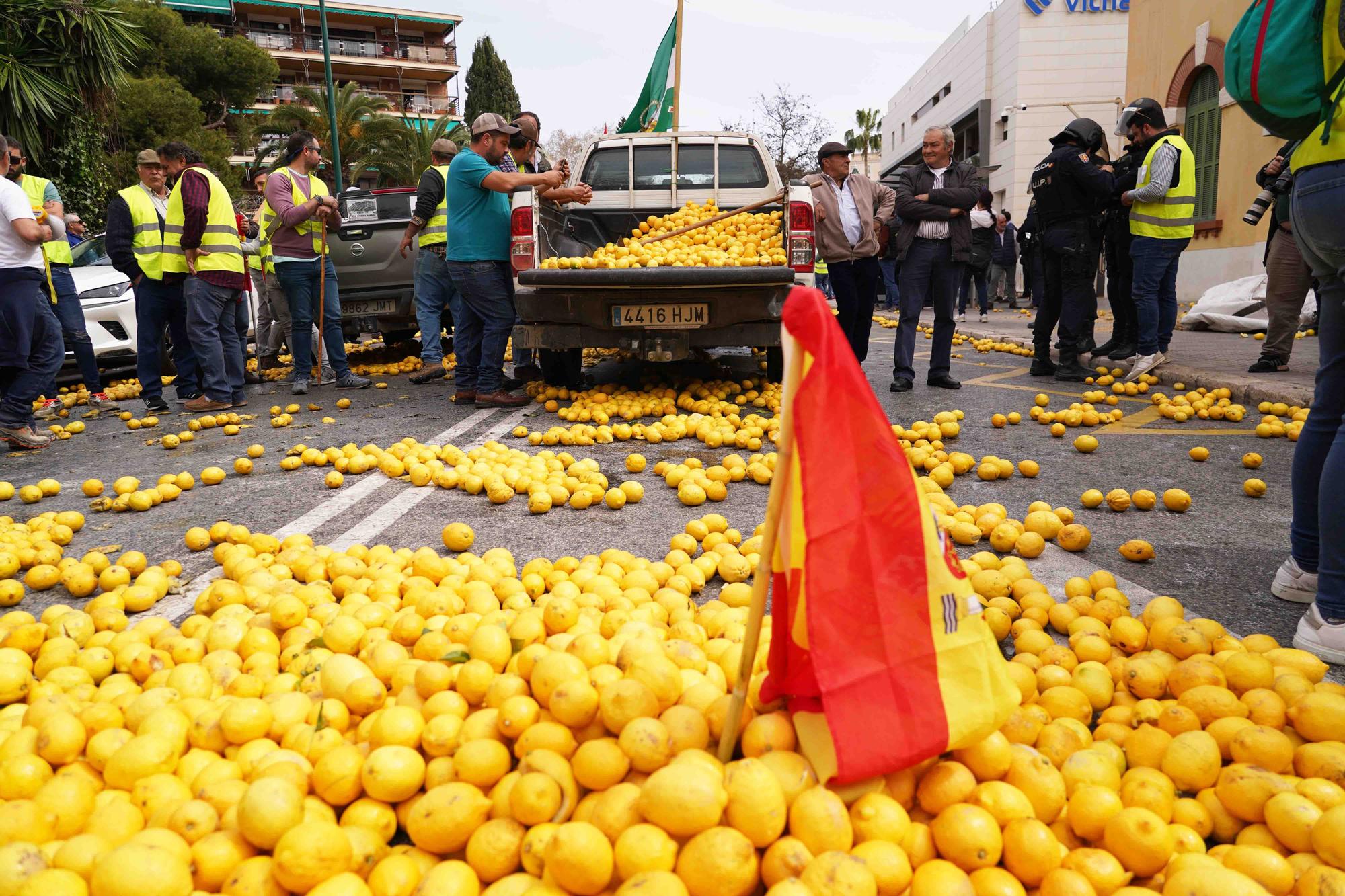 Concentración de agricultores en las puertas de la Subdelegación de Gobierno de Málaga, en el Paseo de Sancha.