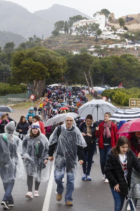 Romeria de les Canyes