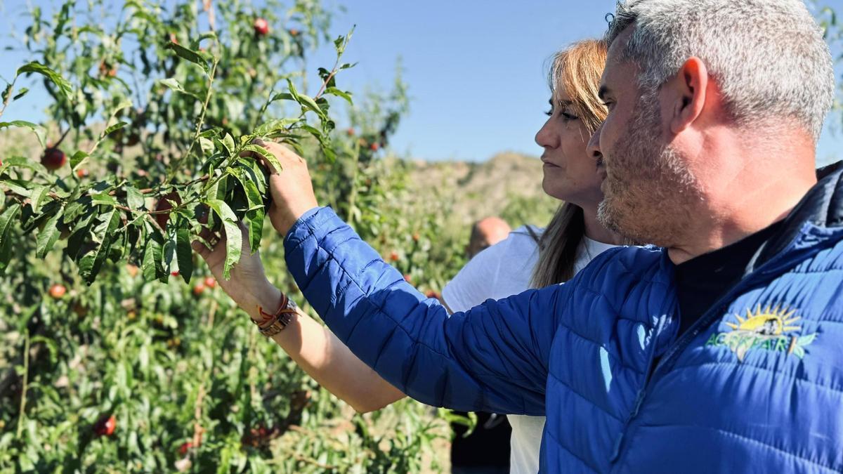 Un agricultor y la alcaldesa valoran los daños del granizo