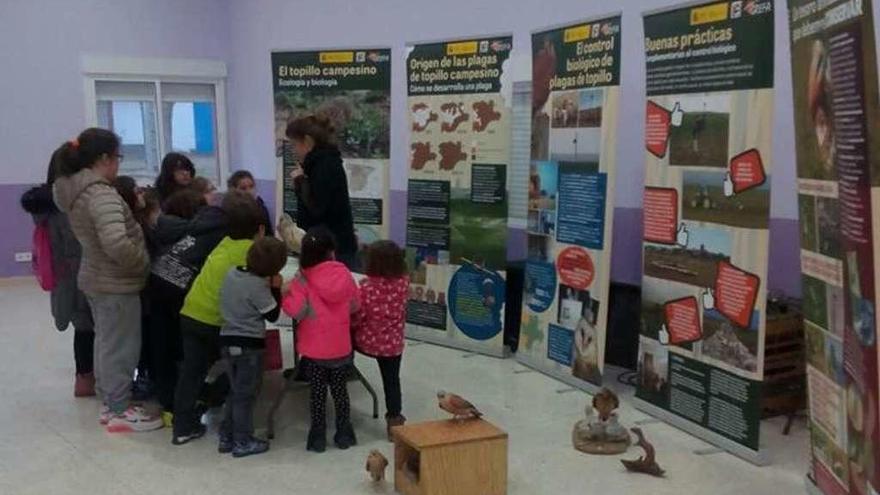 Estudiantes de Morales participan en un taller de medio ambiente