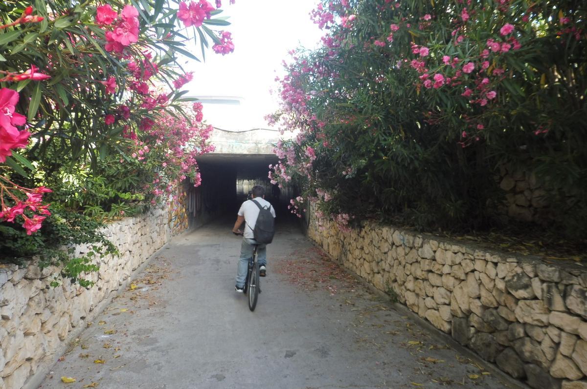 Carril bici Gandia-Oliva por debajo de la rotonda.