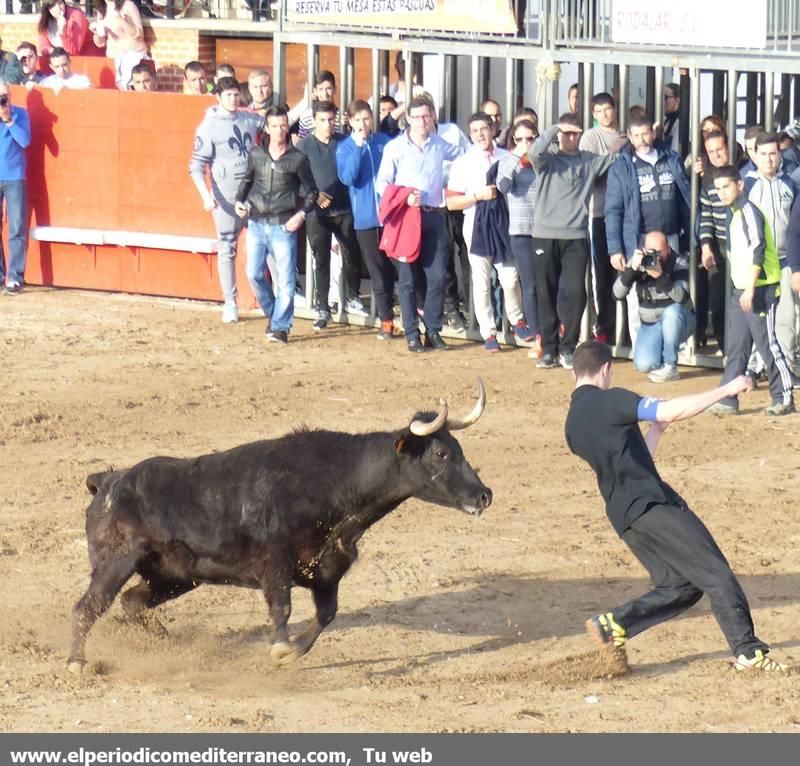 Ambiente pascuero en toda la provincia