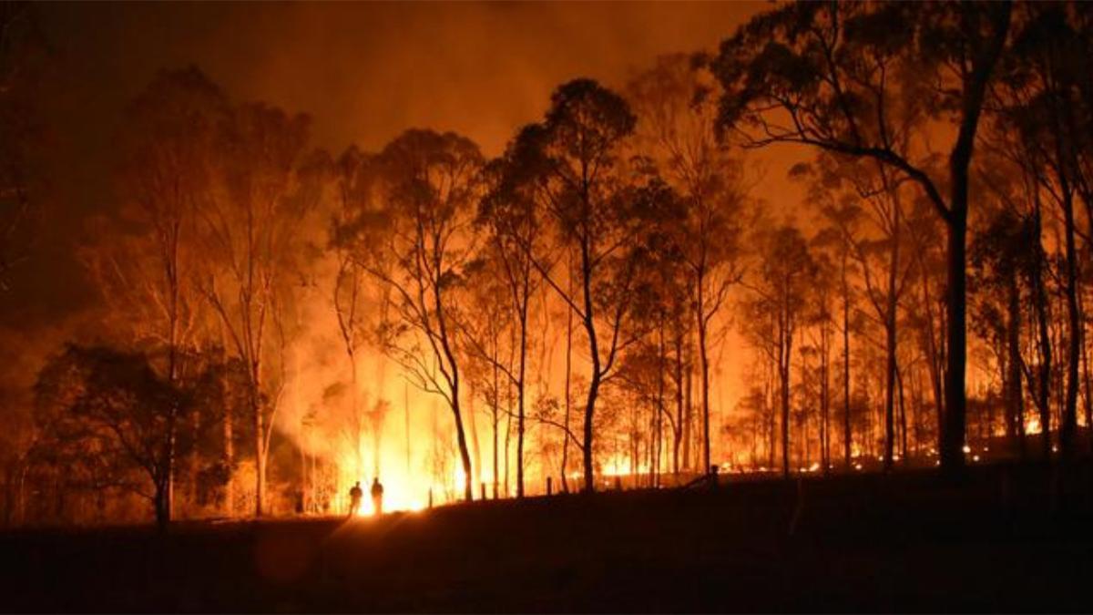 Los desastres ambientales ligados al cambio climático ponen en riesgo el sistema de distribución mundial de sangre.