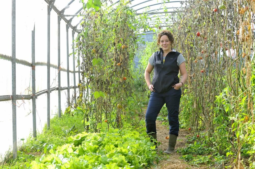 Curso de agricultura ecológica en Langreo