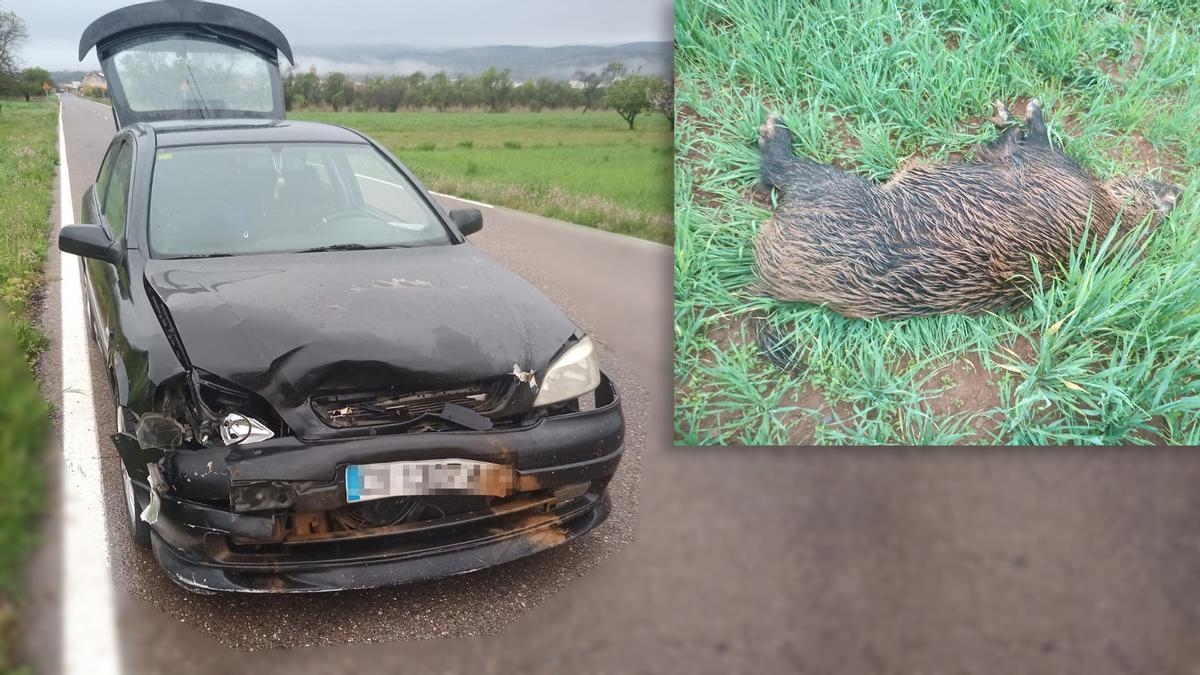 Imagen del estado en el que quedó el vehículo accidente y del jabalí, tendido en la cuneta.