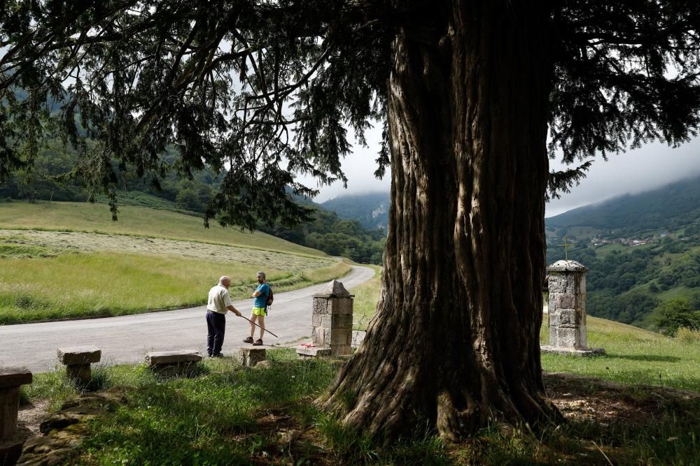 Rutas por Asturias: por les Xanes