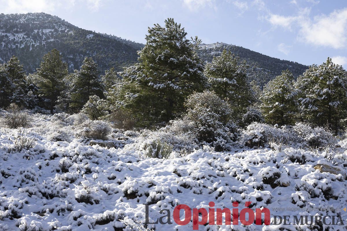 La nieve se hace presenta en las proximidades de Revolcadores