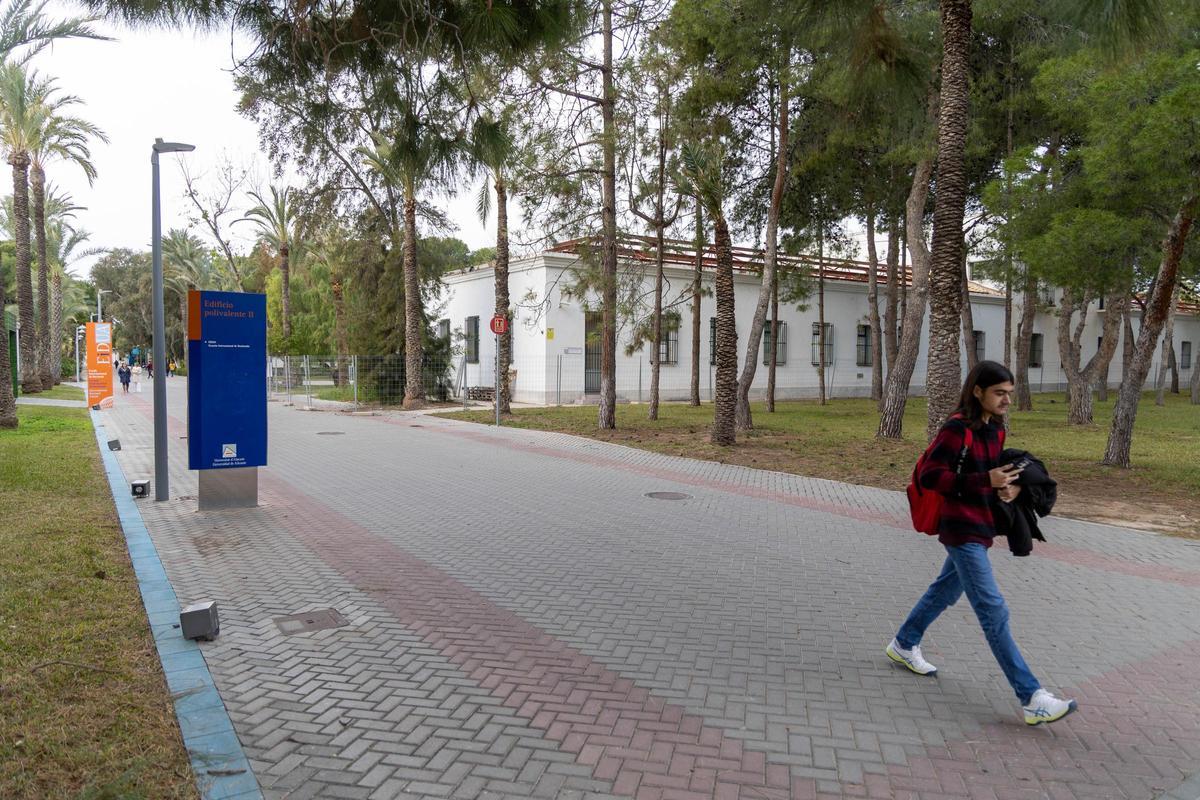 Otro de los pabellones de la UA donde ya ha sido retirada la cubierta