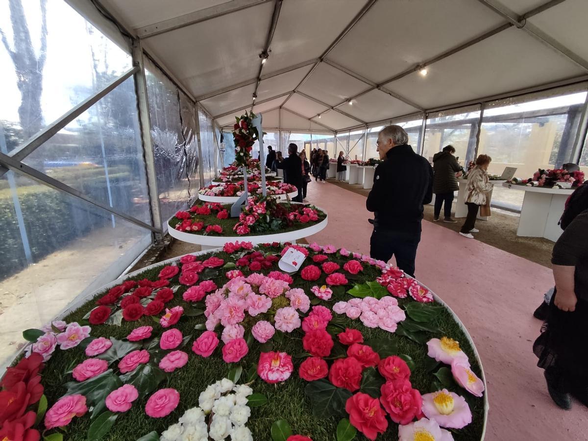 La feria portuguesa, ayer.