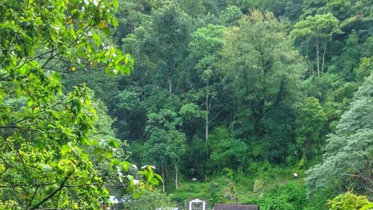 Dos xiquets creuen un pont al Nepal. | UCV