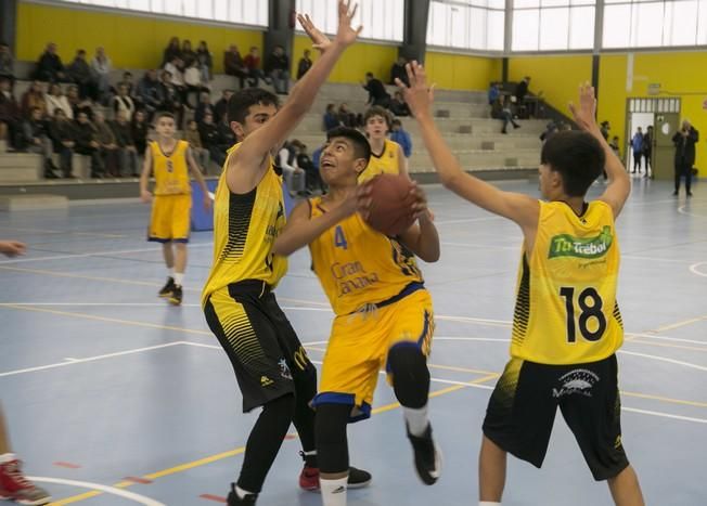 11/02/2017 DEPORTES  baloncesto miniderbi  iberostar tenrife Gran Canaria en la cancha del colegio El Buen Consejo de la laguna