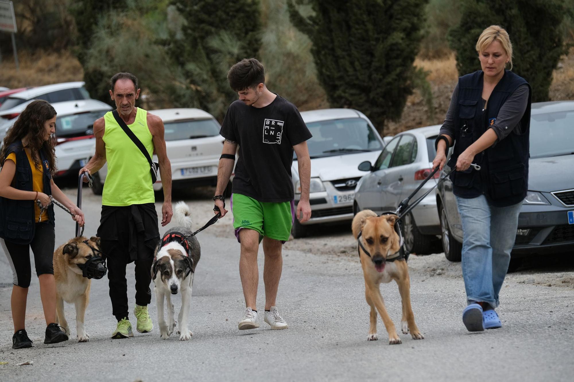 La Protectora de Animales de Málaga, a finales de octubre