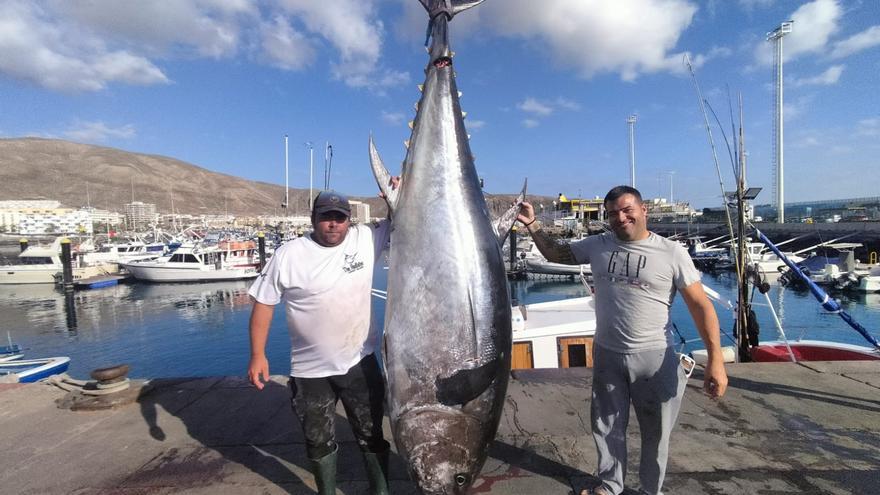 Tenerife estrena la zafra de atún rojo con un patudo de 376 kilos