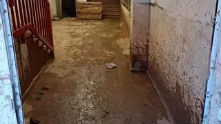 El drama de las fincas más vulnerables de Algemesí para iniciar la reconstrucción