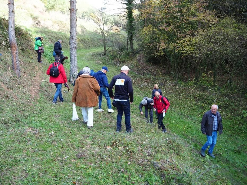 Matinal de natura i gastronomia al Berguedà