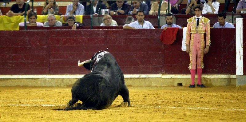 Novillada en la plaza de Toros