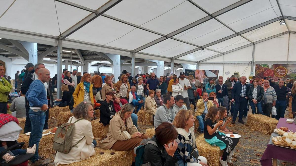 El Festival del Chosco de Tineo, El Festival del Chosco de Tineo,