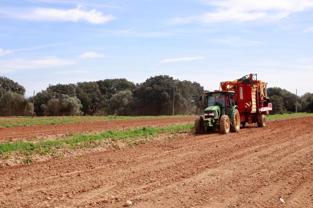 Más de 2.500 pymes y jóvenes agricultores se benefician del plan de apoyo a zonas rurales de BBVA España