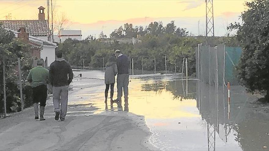 Una nueva crecida del río Genil anega huertas y alcanza a viviendas próximas