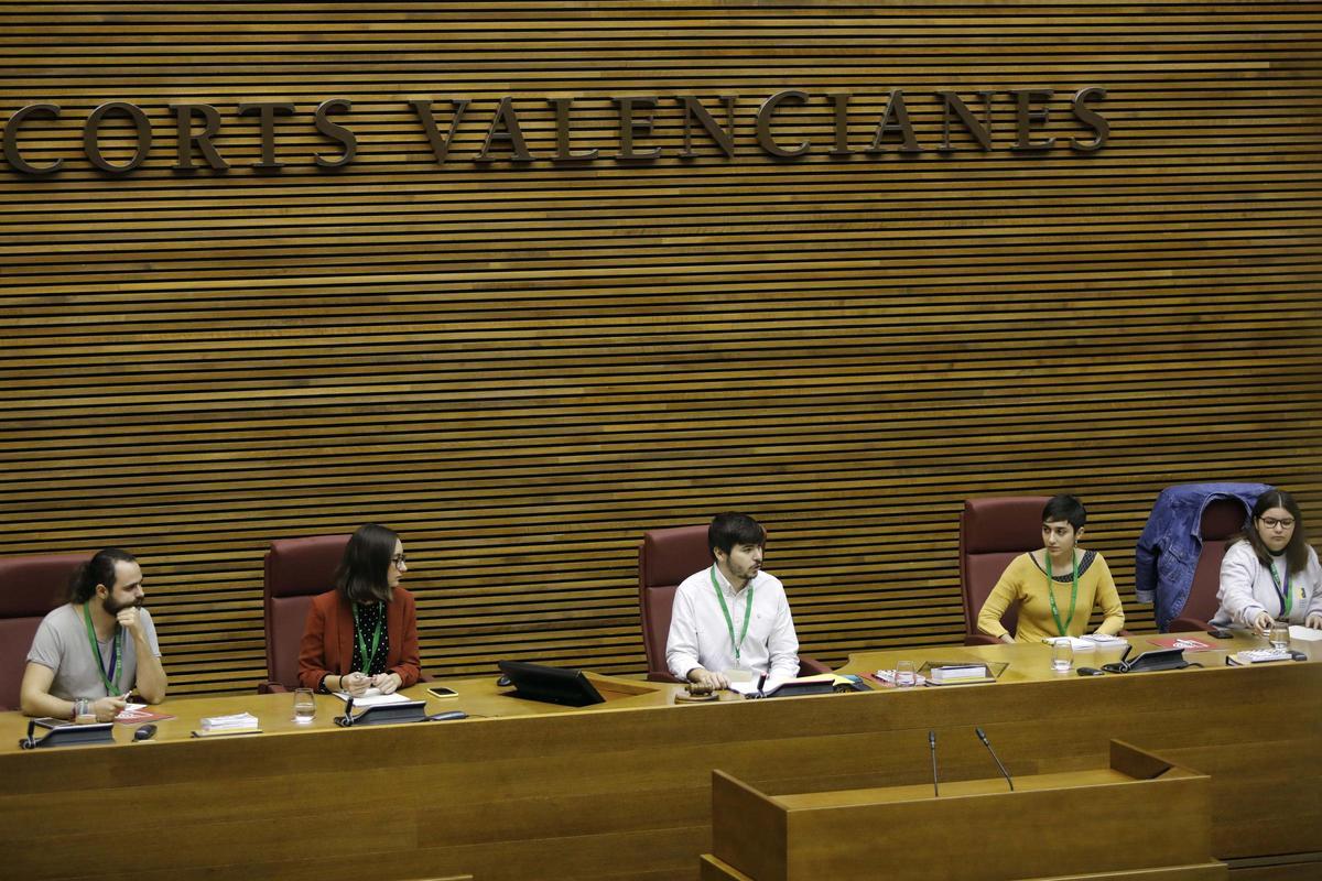 Edición del Parlament Jove de 2019.