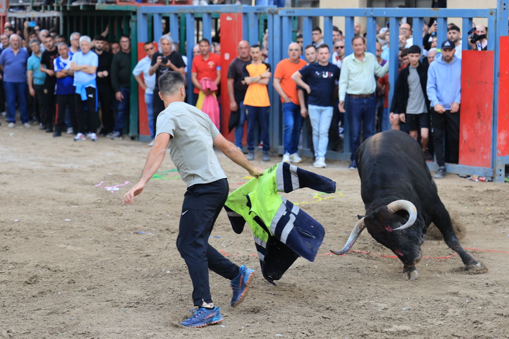 Fotos de la tarde taurina del jueves de las fiestas de Sant Pasqual en Vila-real