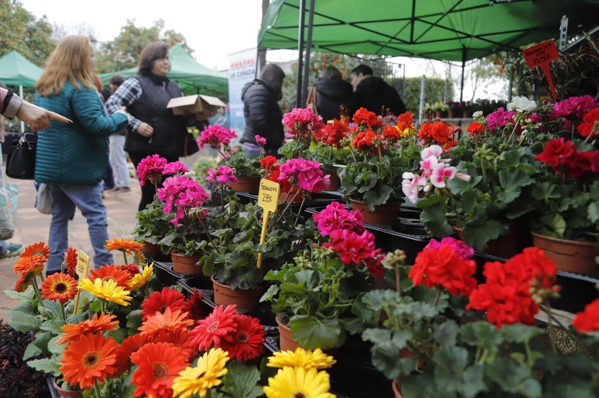 El mercado de las flores de colección de Córdoba, en imágenes