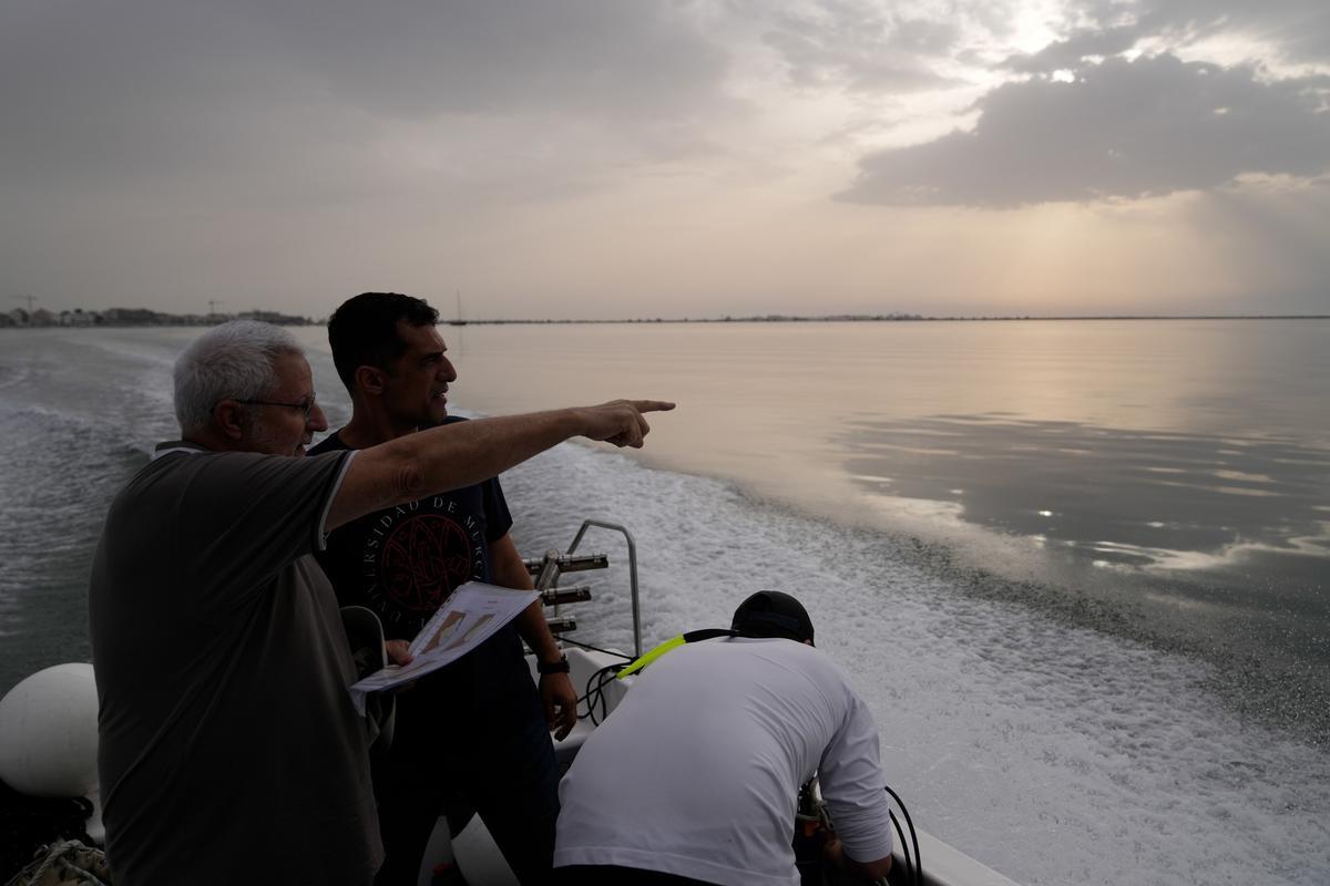 Varios investigadores de la UMU analizan el estado del Mar Menor