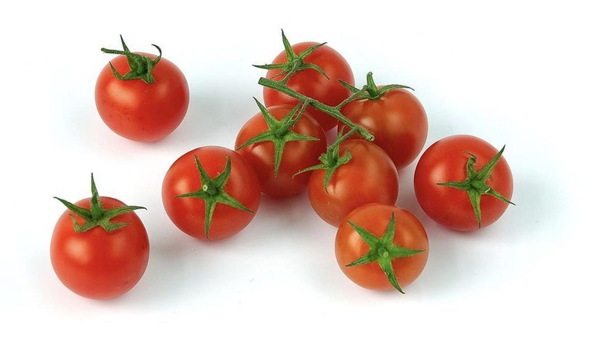 Los tomatitos 'cherry', los más deseados para recetas especiales.