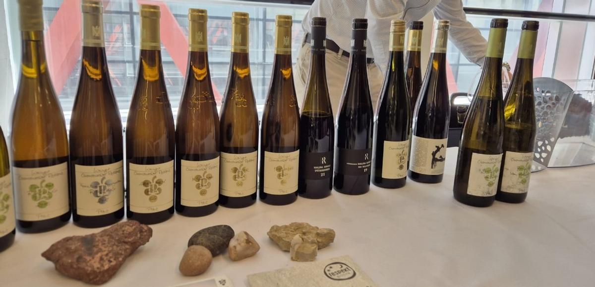 Vinos de una bodega que utiliza corcho y rosca en sus vinos.