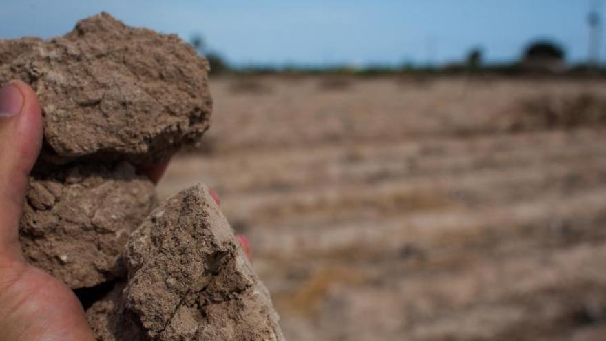 La CHS del Segura descarta las restricciones de agua para el consumo humano