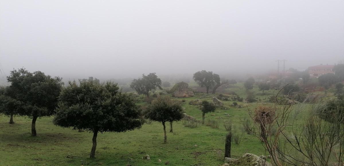 Fotogalería | Mañana de niebla en el norte de Cáceres