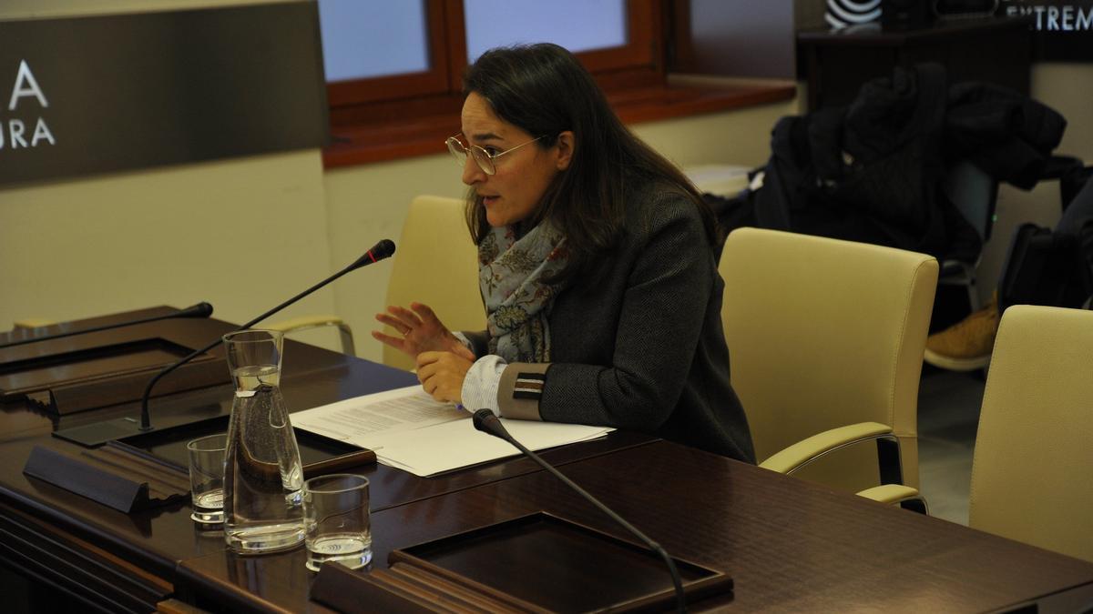 La directora general de Bibliotecas, Archivo y Patrimonio, Adela Rueda, ayer en la comisión de Turismo en la Asamblea.