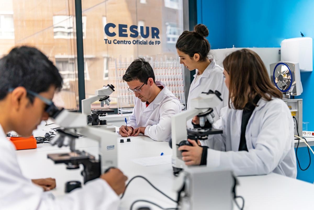 La oferta formativa estará compuesta por ocho ciclos de distintas familias profesionales.