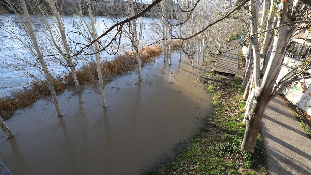 Crecida del Ebro a su paso por Zaragoza | 11 de diciembre de 2021