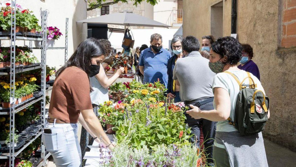 Vilanant ha omplert el poble de flors i detalls per una nova edició de la Fira Flor 2022