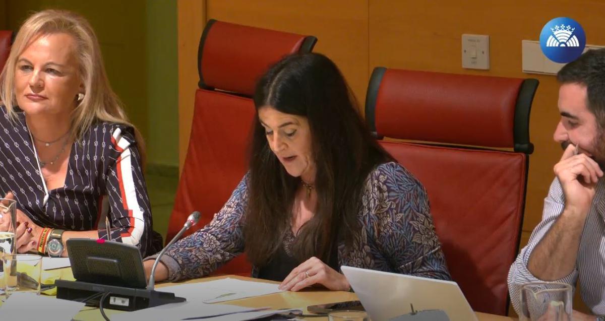 A la izquierda, la procuradora de Vox María Luis Calvo, durante la comisión en la que se ha debatido la propuesta.