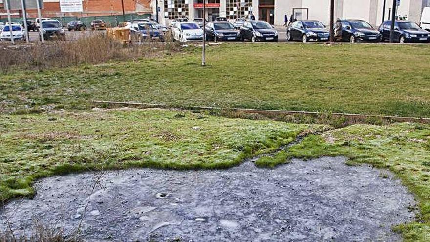 Un charco permanecía helado en una zona sombría de un parque de Zamora a mediodía de ayer.