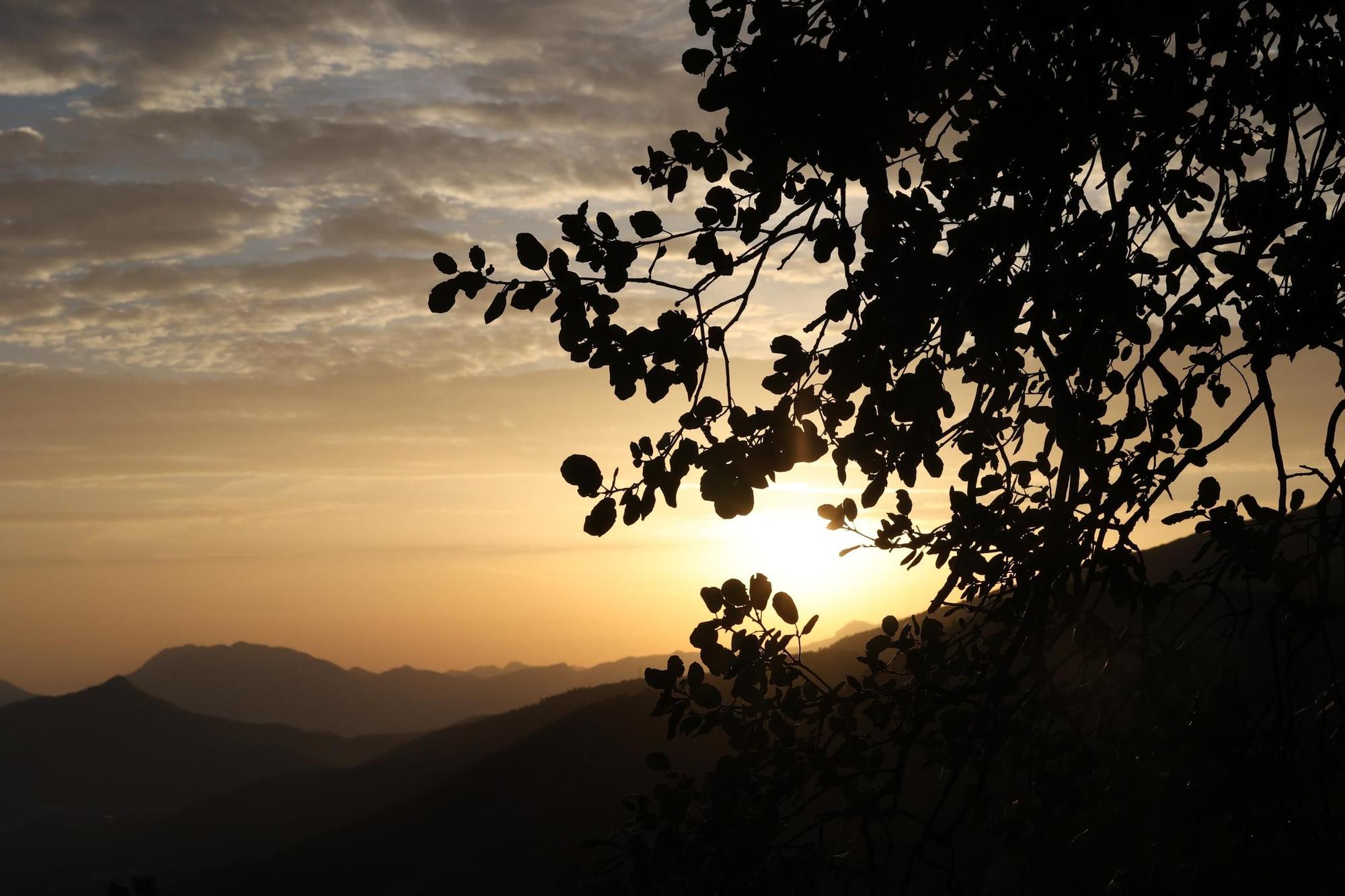 Romería a la Ront Roja