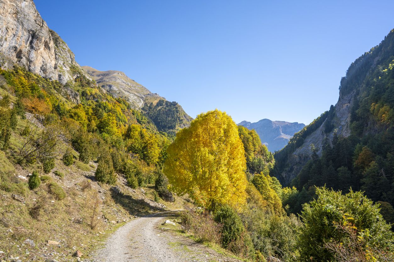 Los amantes de la naturaleza se han enamorado de este paraje de Aragón