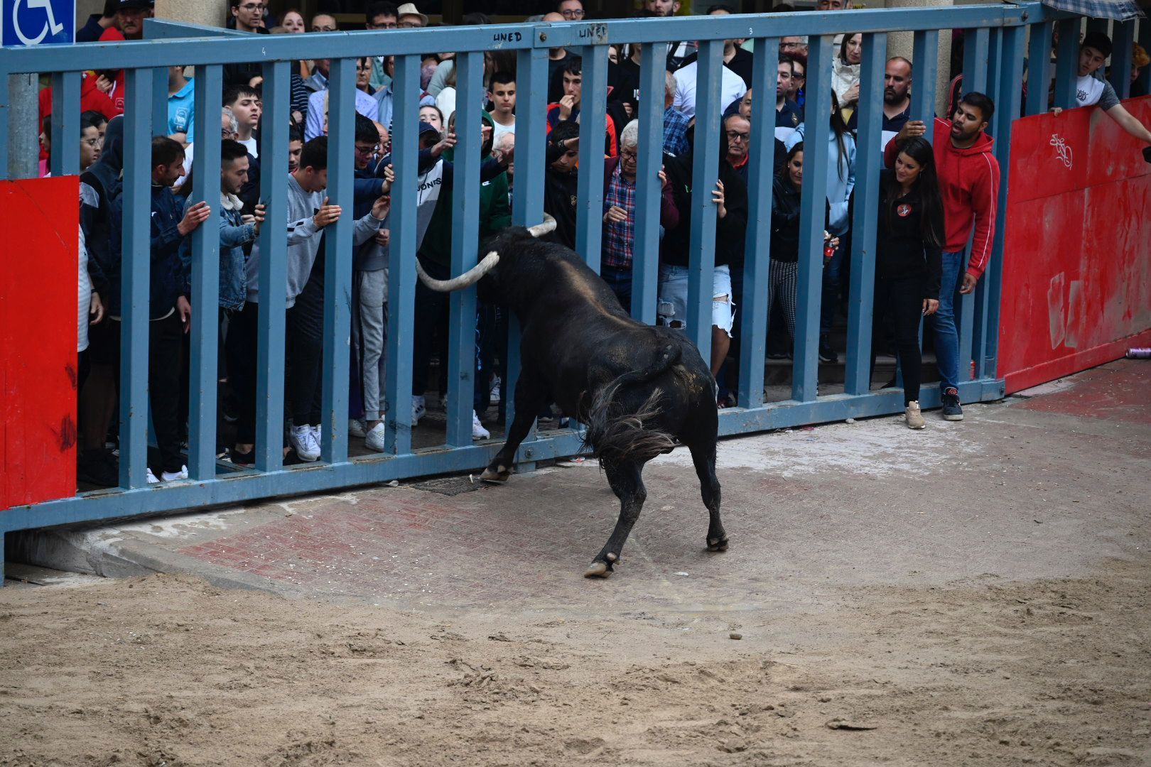 Las mejores imágenes de la jornada festiva en Vila-real