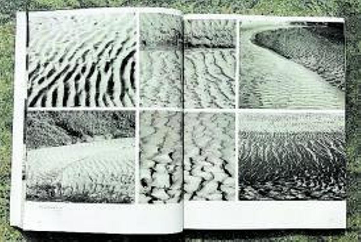 Ventana de la Sala LAi.