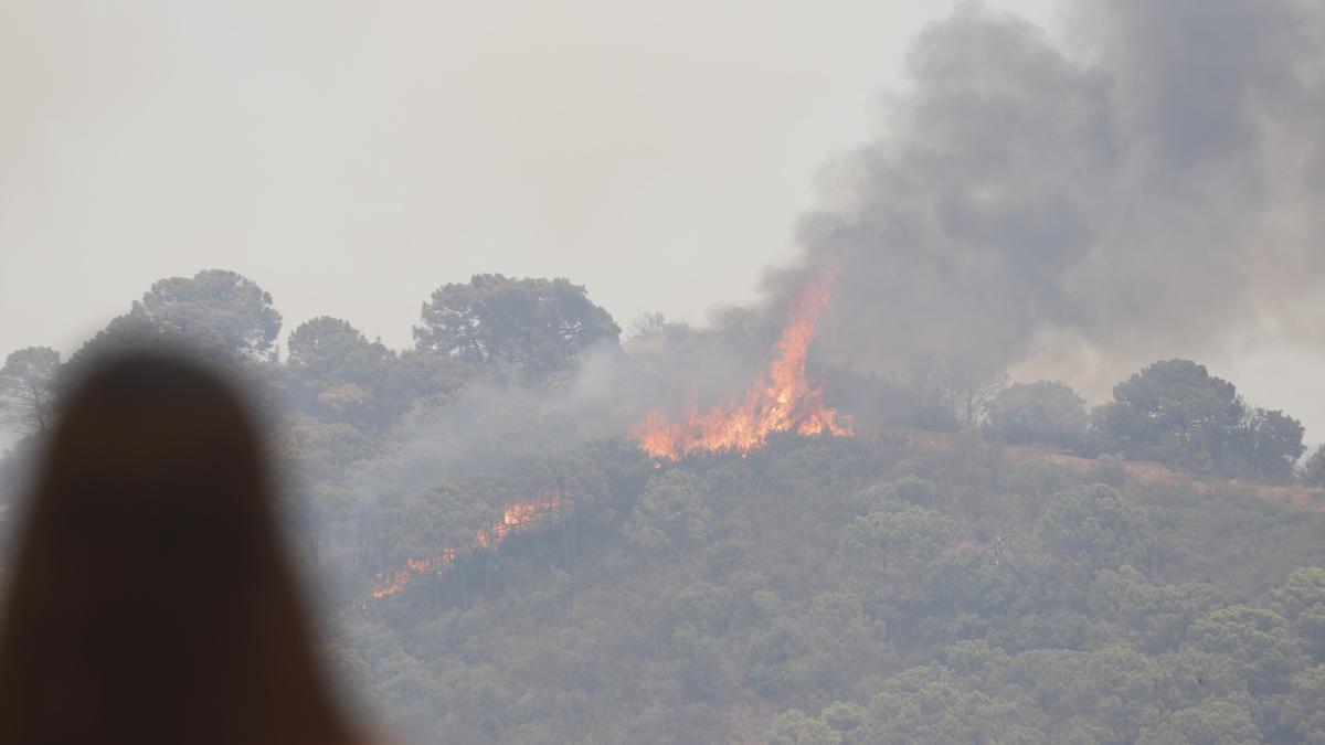 Un incendio en Sierra Bermeja provoca el desalojo de 500 personas