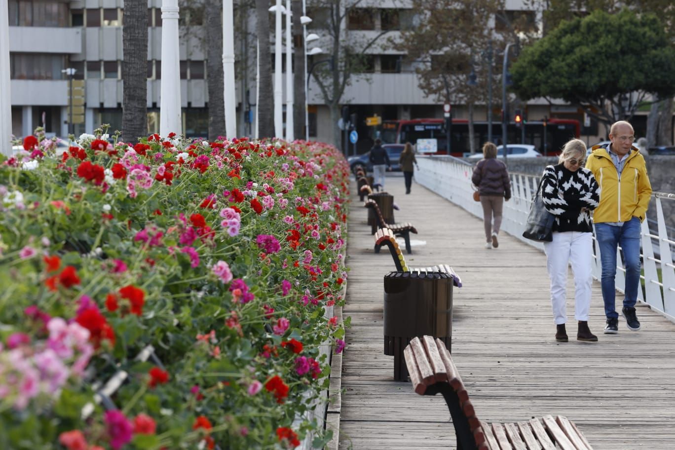 Comienzan a replantar el Puente de las Flores