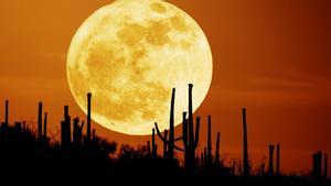 Luna de Cosecha, la más cercana al equinoccio de otoño, sobre un campo de Arizona (EEUU).