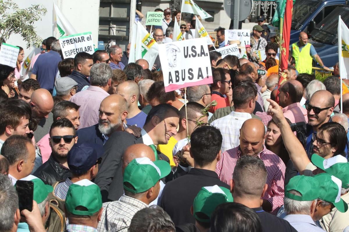 Córdoba se suma a la gran manifestación del olivar en Madrid