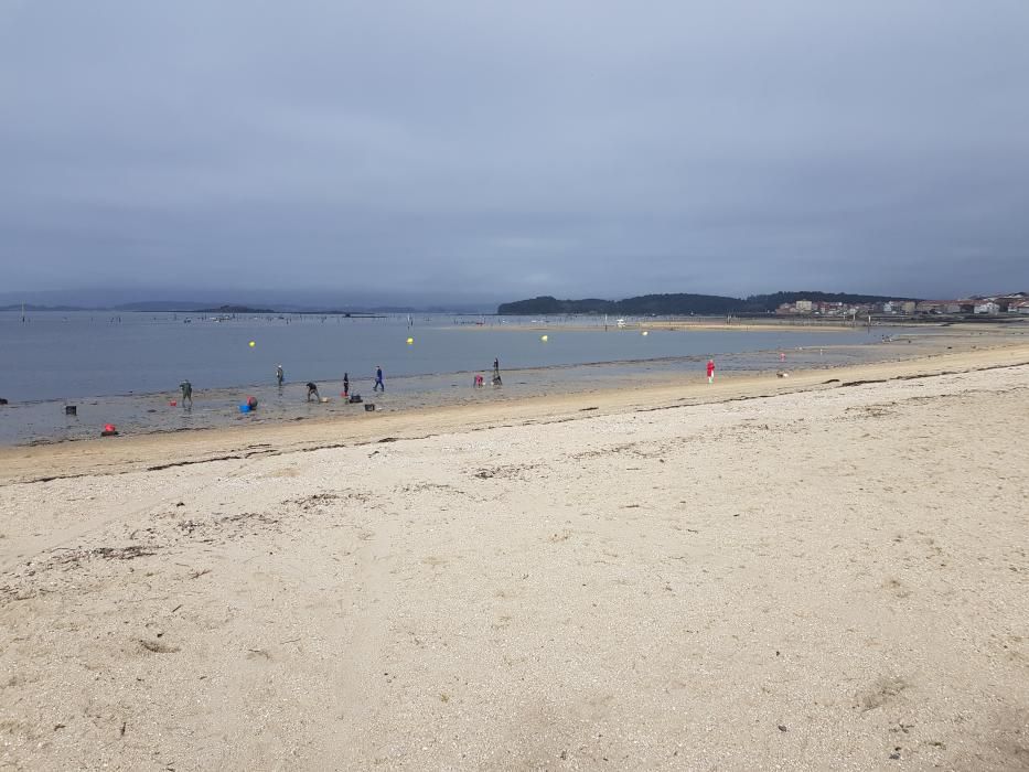 "Mareas vivas" en Galicia.