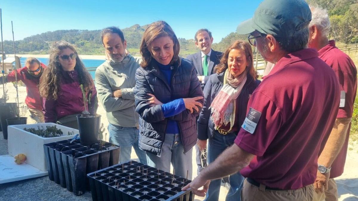 La conselleira de Medio Ambiente, Ángeles Vázquez, en una visita en Cíes para comprobar el proceso de recuperación y cultivo de semillas autóctonas del Parque Nacional Illas Atlánticas.