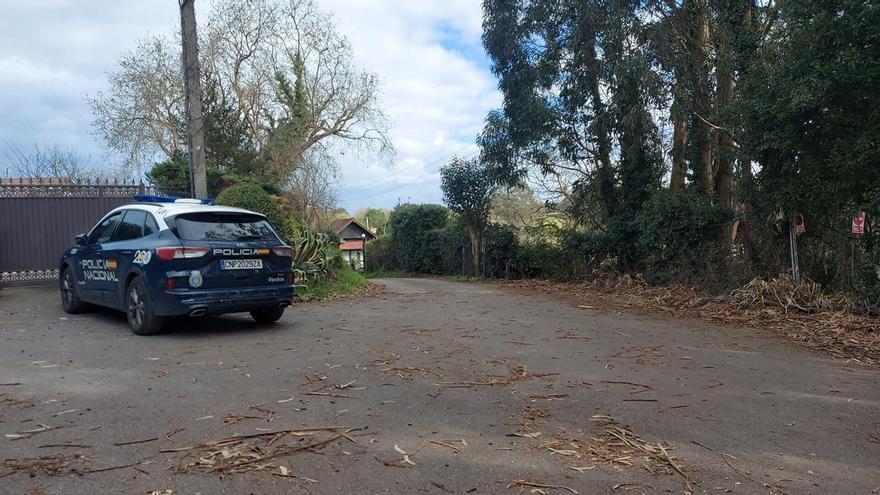 Hallan el cadáver de una mujer en una piscina de un chalet de Gijón